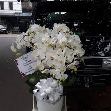 Toko bunga blora jawa tengah toko bunga kami terbentuk tanggal 1 bulan november tahun 2011. Toko Bunga Di Kalimalang Jakarta Timur Jasa Renovasi Kontraktor Rumah Jual Rumah Lahan