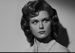 Dan Estabrook Bio, Aile, Megan Boone ile İlişkiler