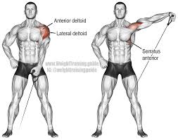 Cable One Arm Lateral Raise Instructions And Video Weight Training Guide Shoulder Workout Cable Workout Best Shoulder Workout