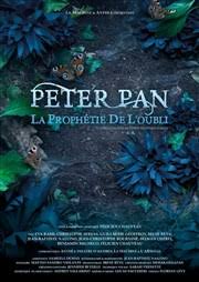 Peter Pan La Prophetie De L Oubli Espace Magnan Billetreduc Com