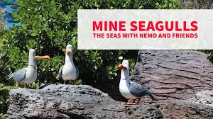 Dhruv Finding Nemo Gif - Dhruv Finding Nemo Seagull - Discover & Share Gifs