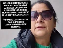 Comunidad Perruna Antofagasta Original 🐶🐾