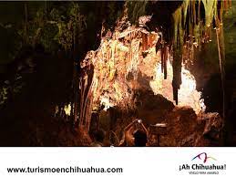 Pin On Tips Chihuahua