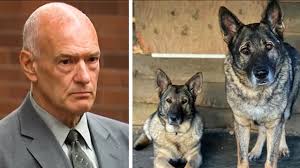 Connecticut family wants animal cruelty charges filed against Michael  Konschak who killed, skinned their dogs