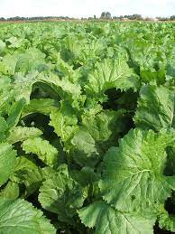 Verified lawyers are standing by to help you online. Tyfon Twitter Search