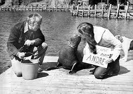 It is an adaptation of the book a seal called andre, which in turn was based on a true story. The True Story Of Andre The Seal