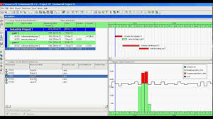 Primavera P6 Display The Resource Usage Profile