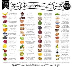 Calorie And Protein Chart Food Calorie Chart Food Charts