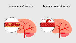Полезные продукты