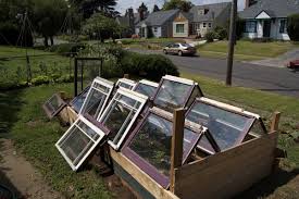 Maybe you would like to learn more about one of these? Greenhouses From Old Windows And Doors Insteading