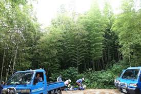 默默與山林對話 2020 06 27 南投水里 車埕步道上集集大山 水里大山 集集南峰 vehicles car