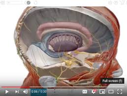Human Anatomy Atlas 2019 A Great App For Science Students Educational Technology And Mobile Learni Human Anatomy Science Student Human Anatomy And Physiology