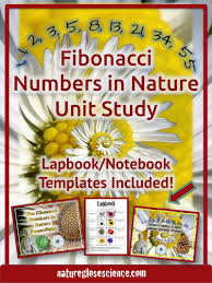 Fibonacci Sequence Formula What Is The Fibonacci Sequence Maths In Nature Examples Of Math In Nature Math Found In Natur Fibonacci Maths In Nature Math Art