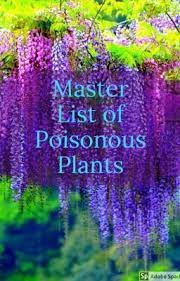 Pin On Plants