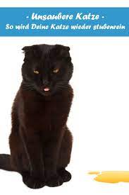 unsaubere katze so wird deine katze wieder stubenrein katzen katze stubenrein katze pinkelt