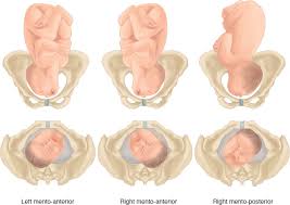 Image result for Face Presentation