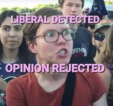 Target has been the subject of boycotts and protests since rolling back its  diversity initiatives in the wake of President Donald Trump's return to the  White House. More:  https://bringmethenews.com/minnesota-business/target-donated-1m-to-trump ...