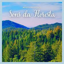 Para aquietar esse estado de . Musica Relaxante Sons Da Floresta Pt 24 Song By Musica Relaxante Spotify