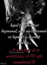 Pin By Flory Telcean On Citate Movie Posters Poster Movies