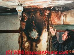 Now for the case for not removing 3 rd degree creosote from tile chimney liners. Chimney Creosote Deposits Fire Hazards In Chimneys