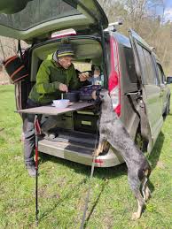 Image result for lucernský honič