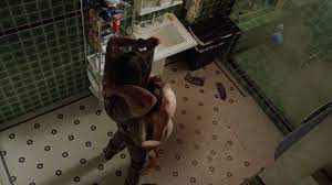 Watch Online - Sarah Wayne Callies – Colony s01e03 (2016) HD 1080p