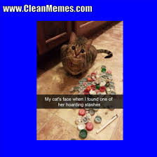 Funny dog memes clean | memes clean please like and subscribe hidden gem funny animals memes that will make you smile having a mother of a day? 2018 Memes