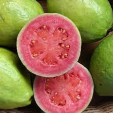 Pin By Joseph Tareco On Jams Jellies Preserves Marmalade Guava Fruit Guava Benefits Guava Jam