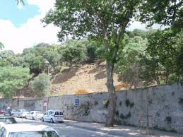 Mehmet cengiz'in eşi fatma cengiz; Yandas Patron Mehmet Cengiz In Aldigi Koruda Usulsuz Insaat Sol Haber
