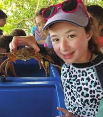 2015-2016 ANNUAL REPORT