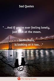 What matters the most is that it's real, valid. Feeling Happy And Sad At The Same Time Quotes Matthew Quick Quote Soon I Am Seeing The Blue And Yellow Flags Dogtrainingobedienceschool Com