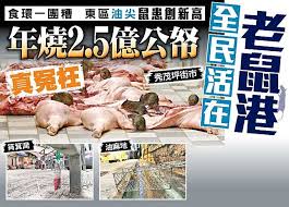 Find this pin and more on 秀茂坪 sau mau ping by 香港昔與今 hk then & now. Mhmtqaozy9dpvm