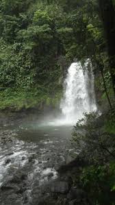 Bassin De La Riviere Bourceau Guadeloupe Little Paradise Pinterest