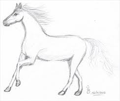 We did not find results for: Free 12 Horse Drawings In Ai