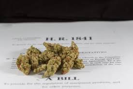 Marijuana Legalization Bill Approved By Congressional Committee In Historic Vote Marijuana Moment