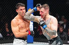 Modestas Bukauskas: Aufstieg eines Schwergewichts in der UFC? - Imagen principal del artículo