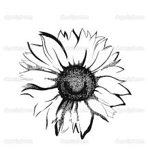 Black And Grey Sunflower Tattoo Designs Amazing Black And Grey Sunflower Tattoo Design Tattoos Sunflower Tattoos Sunflower Sketches