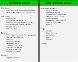 Most of the time, it is caused by an infection that reaches the heart. Https Www Riverpublishers Com Pdf Ebook Rp 978 87 93237 01 8 Pdf