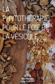 La Phytotherapie Pour Le Foie Et La Vesicule Wemystic France Phytotherapie Aliments Inflammatoires Remedes Naturels