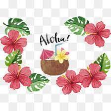 Coconut Vector Material Trip Hawaii Island Png Transparent Clipart Image And Psd File For Free Download Free Watercolor Flowers Flower Png Images Vector Flowers
