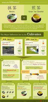 Difference Between Matcha And Sencha Green Tea Infographic Matcha Vs Green Tea Http Blog Matcha Vs Green Tea Green Tea Benefits Matcha Green Tea Benefits
