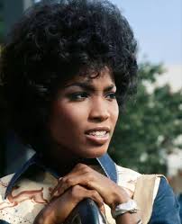 The beautiful Teresa Graves had a groundbreaking TV Series called 'Get  Christie Love!' The short lived crime drama starring Teresa Graves as an  undercover LAPD detective made history as the first hour-long