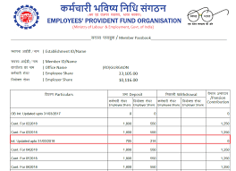Under this scheme, both the employer and employee contribute equally to the epf account every month. Epf Interest Credited In Employees Pf Accounts Paisabazaar Com