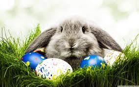 Alle bilder für handys ostern sind nach kategorien und stichwörtern sortiert. Desktop Bilder Ostern Kostenlos Wallpaper Ostern New Hybrid Carss