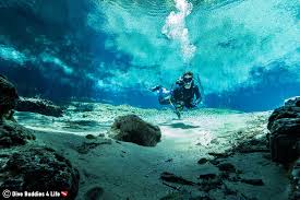 Ginnie springs is a privately owned park in gilchrist county about 6.5 miles (10.5 km) northwest of high springs, florida, usa. Diving Into Ginnie And Devils Spring Dive Buddies 4 Life