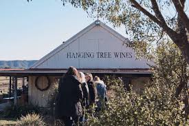 Hanging tree vineyard is your new home away from home. Hunter Valley Private Wine Tour Flexible Friendly Custom Itineraries Top Rated Cloud 9 Tours
