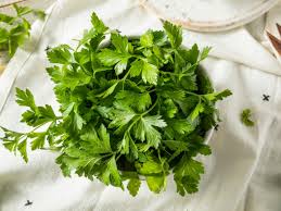 I use a lot of parsley, so it's the herb i freeze the most of. Italian Parsley Herbs How To Grow Italian Parsley