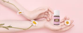 Terjemahan untuk 'matahari' dalam kamus bahasa inggris gratis dan banyak terjemahan bahasa matahari bahasa inggris terjemahan. German Chamomile Keep Calm Fall In Love With This Oil Young Living Blog