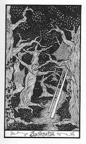 Oak Trees In Mirkwood Tree Images Oak Tree The Hobbit