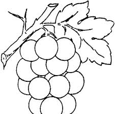 Stampa E Colora Disegni Per Bambini E Ragazzi Da Stampare E Colorare Libri Da Colorare Disegni Di Alberi Ricamo Disegni